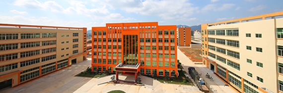 全面完善、穩(wěn)步發(fā)展